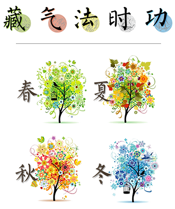 春夏秋冬四季变换